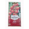 Tomate Miel du Mexique AB - Sachet de 50 graines