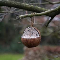 boule de graisse - alimentation pour oiseau d'hiver - oiseaux sauvage - nourriture oiseaux du ciel