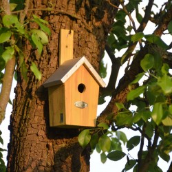 Nichoir en bois avec toit en zinc pour oiseaux