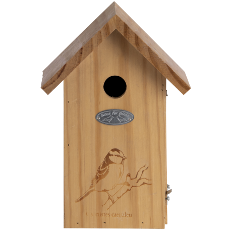 Nichoir pour mésange bleue avec dessin brûlé en bois