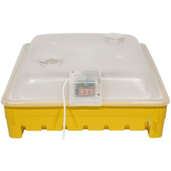 Couveuse 42 oeufs "poule" automatique 160W, remplissage facile