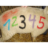 peinture ovin, spray de marquage RAIDEX, crayon de marquage
