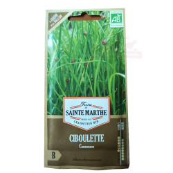 Ciboulette Commune - Sachet de 500 graines