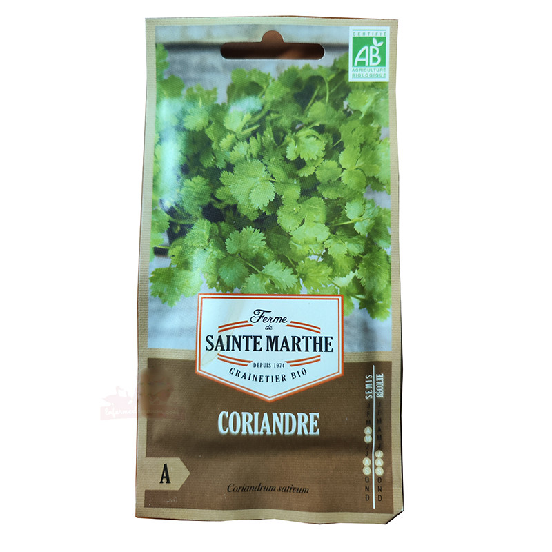 Coriandre cultivée en sachet de 200 graines