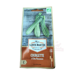 Courgette à Côtes Romanesco AB - Sachet de 15 graines