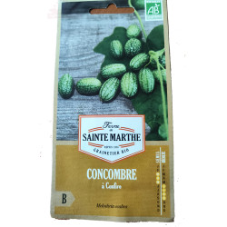 graine de concombre - jardin - graines - légumes - Melothria scabra