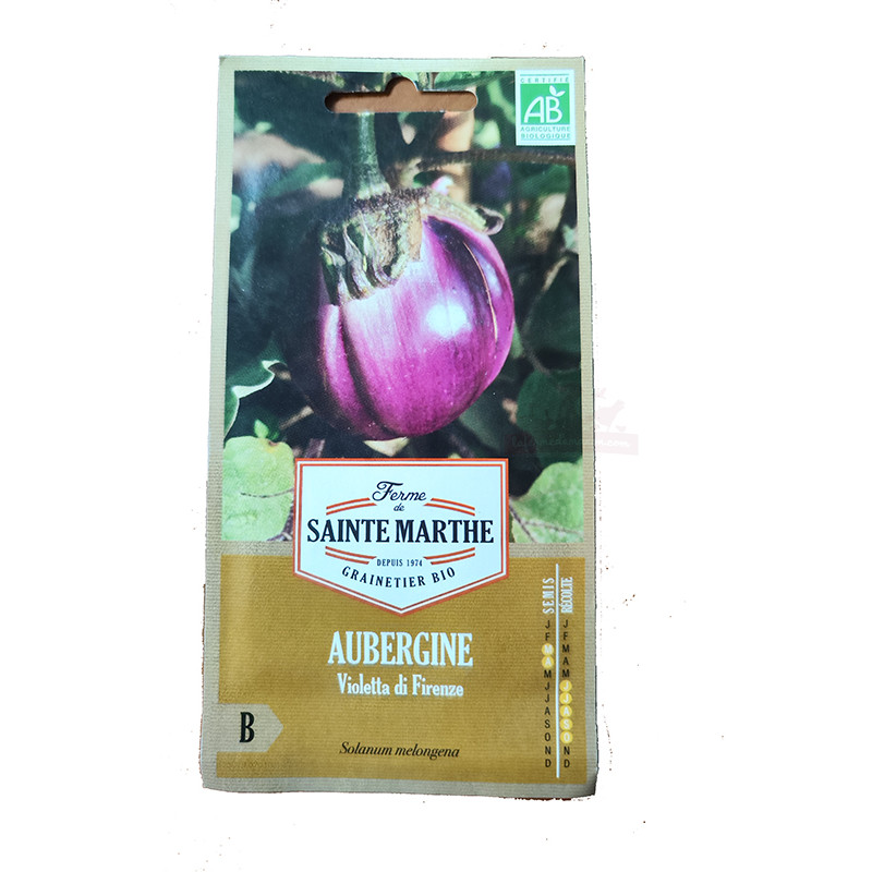 Aubergine Violetta di Firenze AB - Sachet de 50 graines