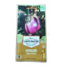 Aubergine Violetta di Firenze AB - Sachet de 50 graines