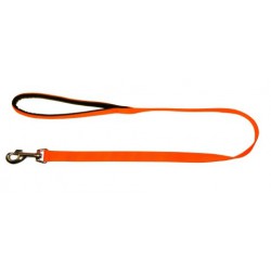 Laisse nylon