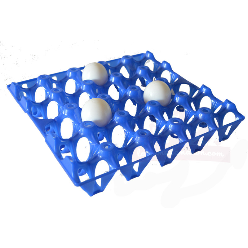 plateaux alvéolés pour oeufs - plateau oeuf plastique - alvéole à oeufs - boite à oeufs