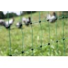 Filet Clôture volaille 50m, double pointes Electrifiables