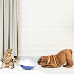 laser pour chien et chat. Jouet amusant pour chien