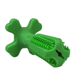 jouet brosse à dent en silicone pour chien