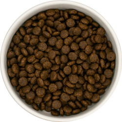 Croquette chat adulte, Dinde, sans céréales - 2kg
