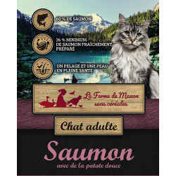 croquette chat adulte recette au saumon