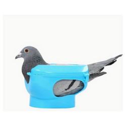 soin pour pigeons. bloque pigeon.table de soin pour pigeon