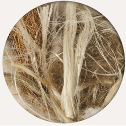 Coco - Sisal - Jute et Coton