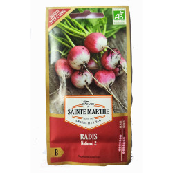 radis - jardin - jardinage - potager - légumes - fruits - raphanus sativus