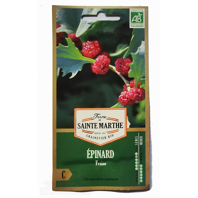 Epinard Fraise AB - Sachet de 200 graines