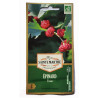 Epinard Fraise AB - Sachet de 200 graines