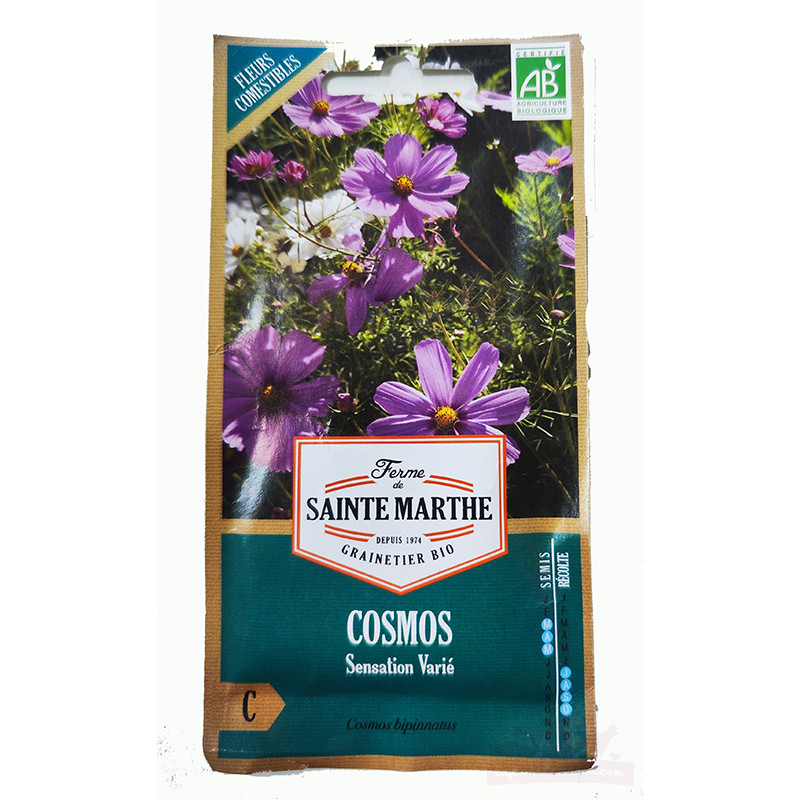 Cosmos Sensation Varié AB (Fleurs comestibles) - Sachet de 300 graines