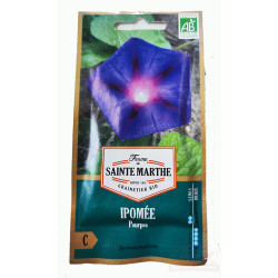 Ipomée Pourpre AB - Sachet...