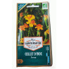 Oeillet d'inde Sauvage AB - Sachet de 250 graines