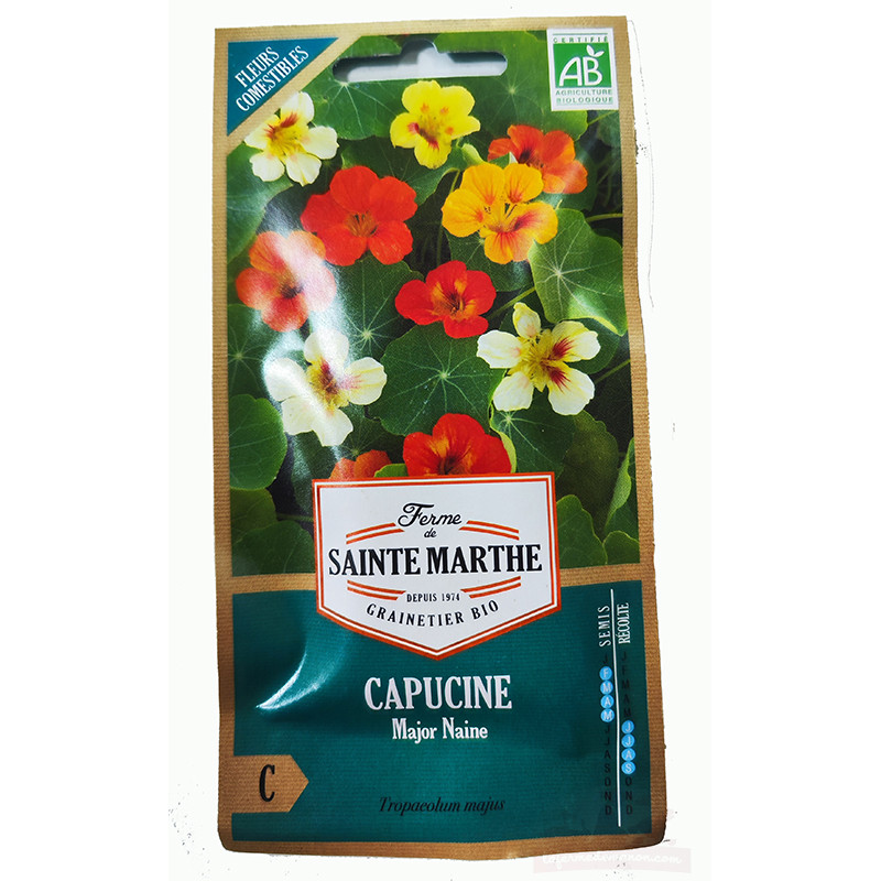 Capucine Major Naine AB (fleurs comestibles) - Sachet de 30 graines