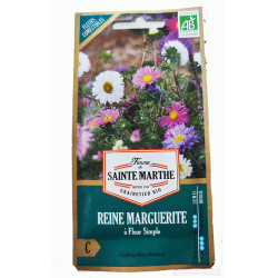 Reine Marguerite à Fleur Simple AB - Sachet de 500 graines