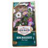 Reine Marguerite à Fleur Simple AB - Sachet de 500 graines