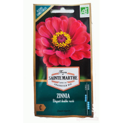 Zinnia Elegant double varié AB - Sachet de 150 graines