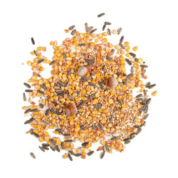 graine pour écureuils. alimentation écureuils hiver.