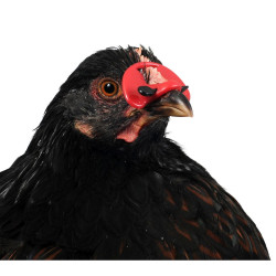Lunette anti-picage poule/faisan - Lot de 25