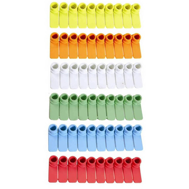 Boucle d'identification vierge - Lot de 50