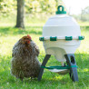 abreuvoir 25L poule optimus