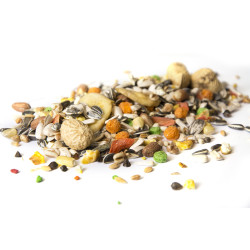 graine de tournesol, morceaux de fruits. mélange de perroquet avec fruits.