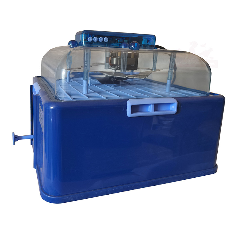 couveuse 50 oeufs de poule. couveuse semi-automatique. couveuse pour oeufs de poule couveuse 50 oeufs de poule. couveuse semi-automatique. couveuse pour oeufs de poule