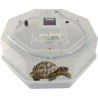 Couveuse, éleveuse tortue de terre