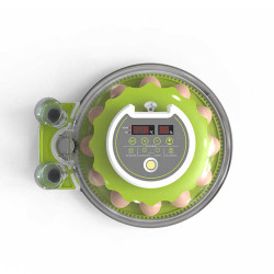 couveuse digitale. couveuse avec thermomètre digitale. couveuse avec hygromètre digitale. couveuse 12 oeufs.