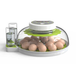 Couveuse 18 oeufs avec plateau rotatif de retournement des oeufs.