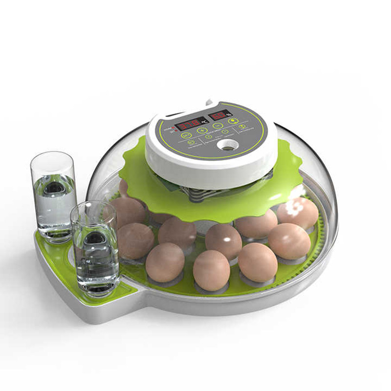 couveuse automatique pour oeufs de poule. couveuse avec retournement automatique des oeufs couveuse automatique pour oeufs de poule. couveuse avec retournement automatique des oeufs