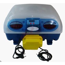 Ventilateur de rechange pour couveuse 24 oeufs Borroto