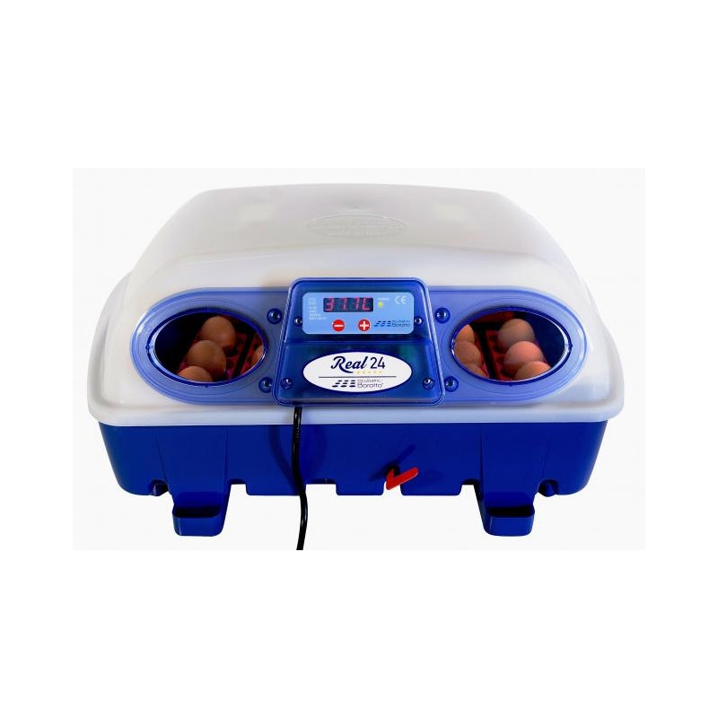 Coque inférieure et supérieure de couveuse 24 oeufs Borroto