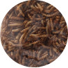 Vers de farine séchés - 100g