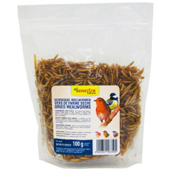Vers de farine séchés - 100g