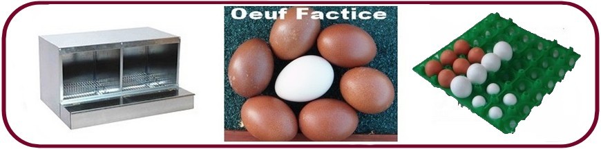 Pondoir, Oeuf factice Poule Pondoir, Oeuf factice Poule