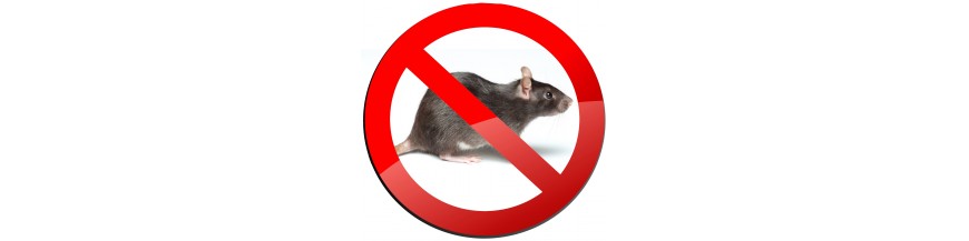 Piège à rat et loir Piège à rat et loir