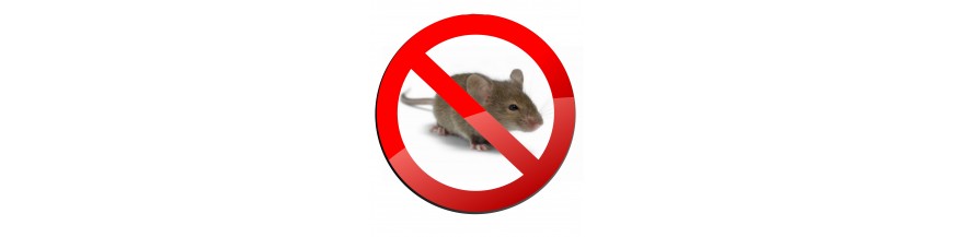 Piège à souris Piège à souris