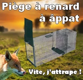 Vidaxl - vidaXL Piège à animaux galvanisé 80 cm - Cage pour rongeur - Rue  du Commerce