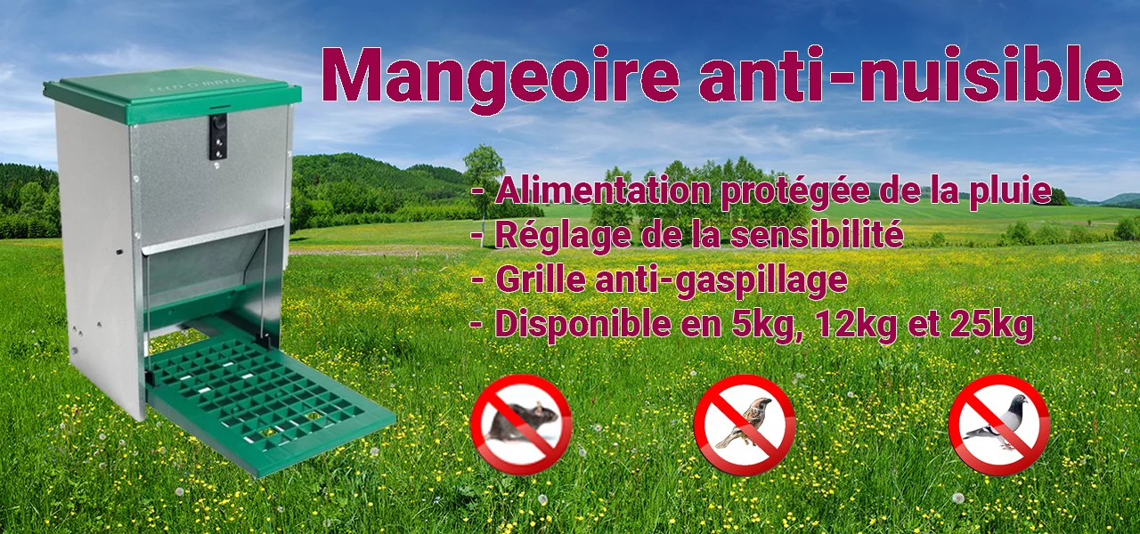 Slide background